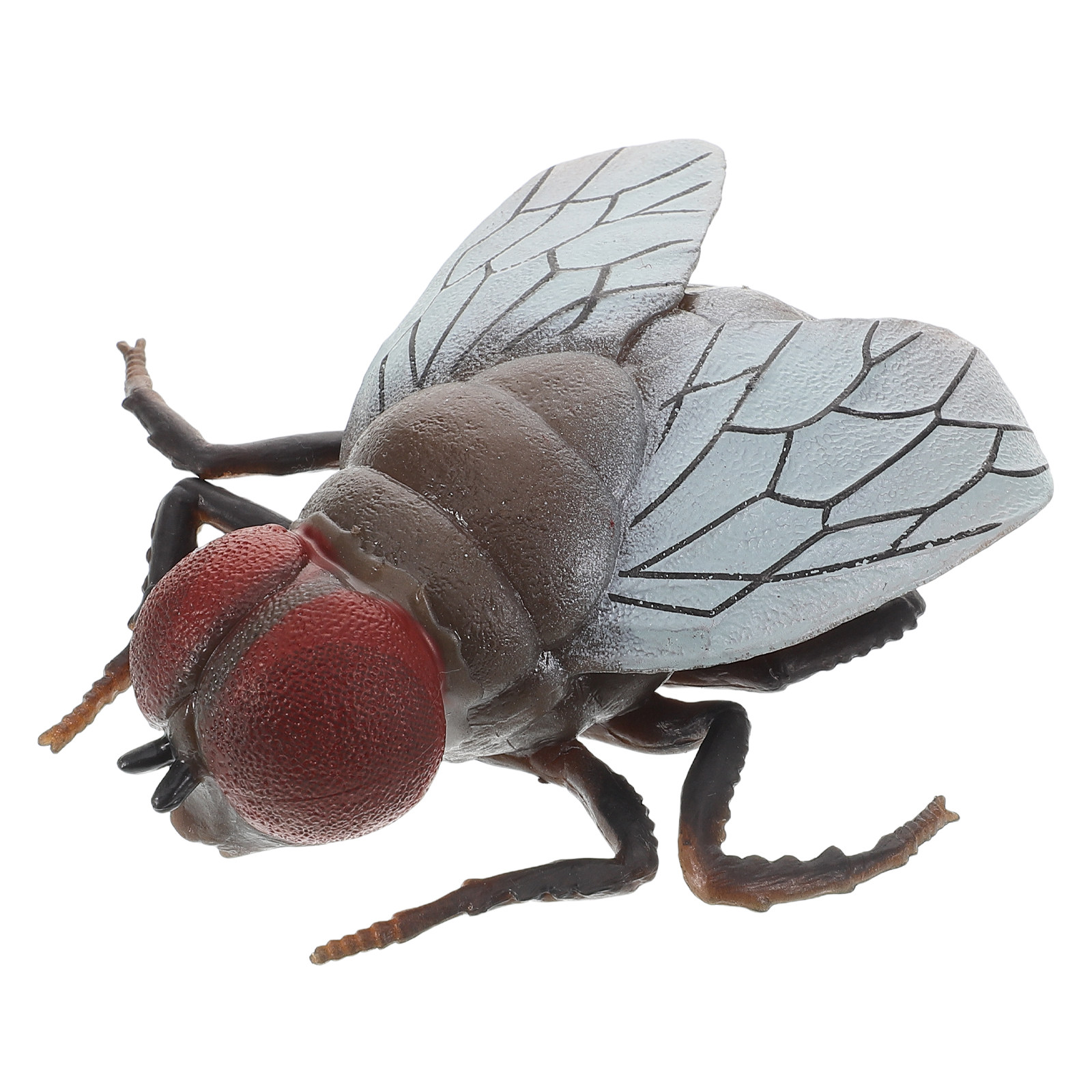 Realistic Fly Insect Toy for K - Prank Toys 评论和价格