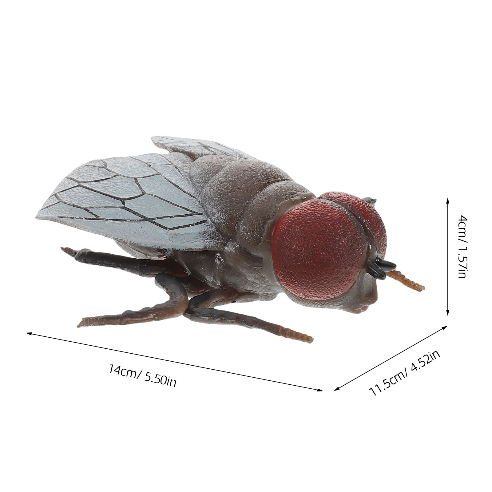 Realistic Fly Insect Toy for K - Prank Toys 评论和价格